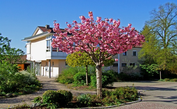 Schulgebäude in der Oberen Dorfstraße 2